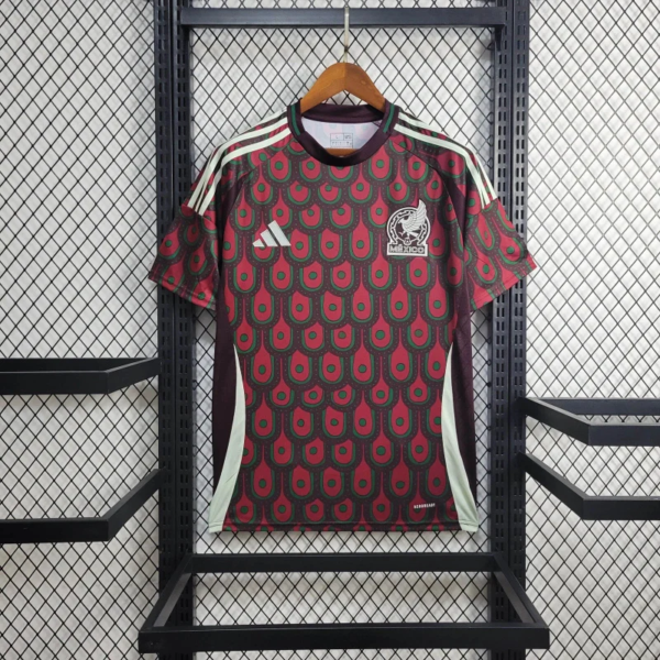 Mexico home 2024