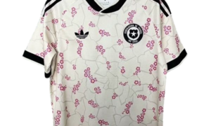 Chile 25-26 Away